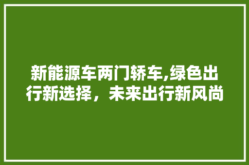 新能源车两门轿车,绿色出行新选择，未来出行新风尚