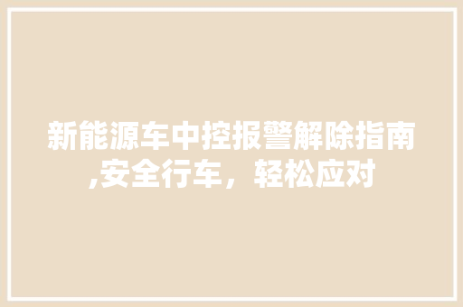 新能源车中控报警解除指南,安全行车，轻松应对
