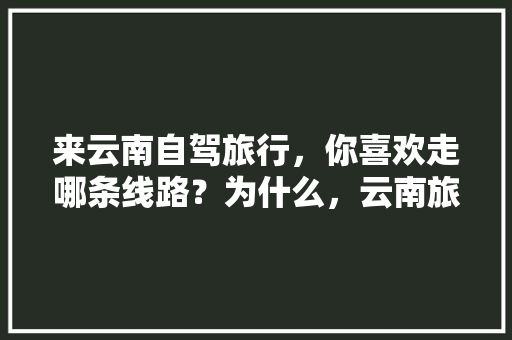 来云南自驾旅行，你喜欢走哪条线路？为什么，云南旅游攻略。