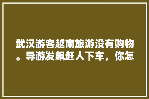 武汉游客越南旅游没有购物。导游发飙赶人下车，你怎么看，武汉到芽庄旅游团报价多少。