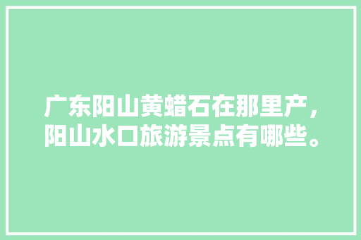 广东阳山黄蜡石在那里产，阳山水口旅游景点有哪些。  第1张