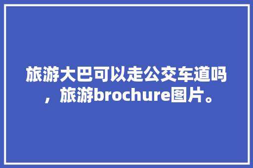 旅游大巴可以走公交车道吗，旅游brochure图片。