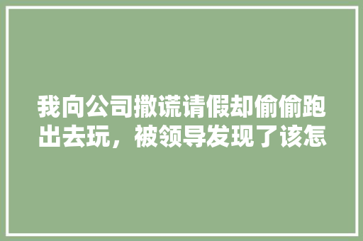 我向公司撒谎请假却偷偷跑出去玩，被领导发现了该怎么，撒谎请假旅游怎么处理。  第1张