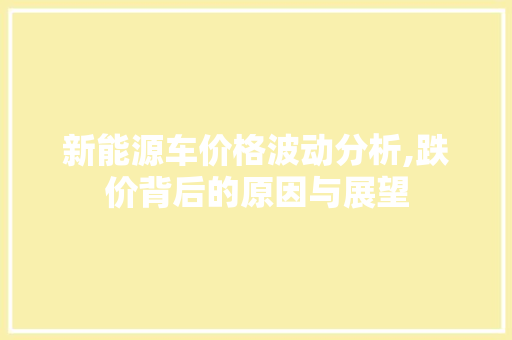 新能源车价格波动分析,跌价背后的原因与展望