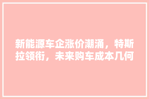 新能源车企涨价潮涌，特斯拉领衔，未来购车成本几何  第1张