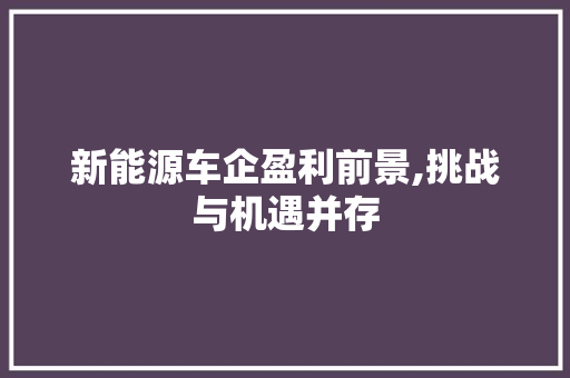 新能源车企盈利前景,挑战与机遇并存  第1张