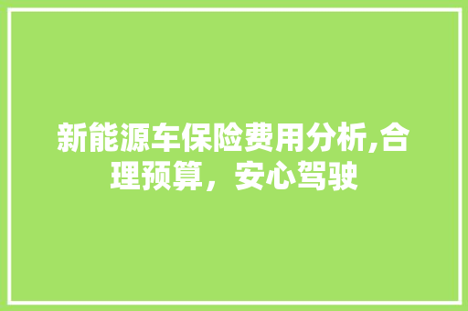 新能源车保险费用分析,合理预算，安心驾驶