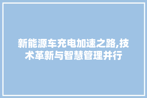 新能源车充电加速之路,技术革新与智慧管理并行