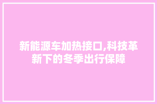 新能源车加热接口,科技革新下的冬季出行保障