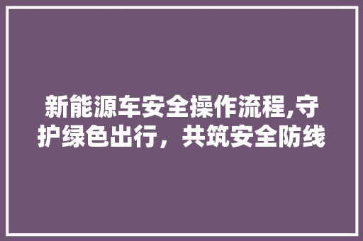新能源车安全操作流程,守护绿色出行，共筑安全防线