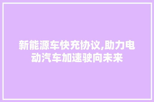 新能源车快充协议,助力电动汽车加速驶向未来
