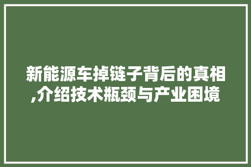 新能源车掉链子背后的真相,介绍技术瓶颈与产业困境