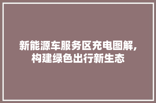新能源车服务区充电图解,构建绿色出行新生态