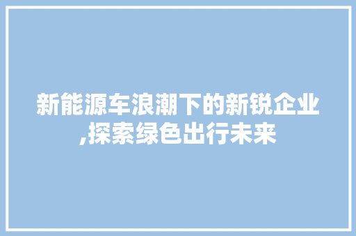 新能源车浪潮下的新锐企业,探索绿色出行未来