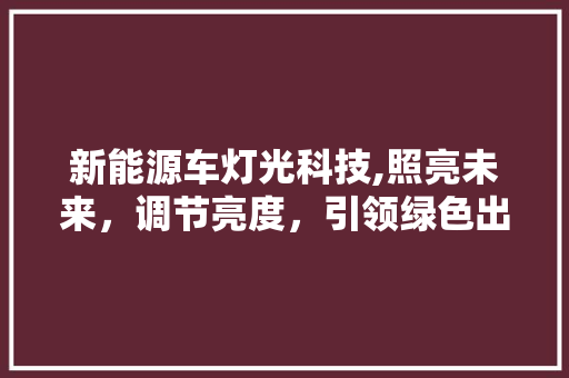 新能源车灯光科技,照亮未来，调节亮度，引领绿色出行