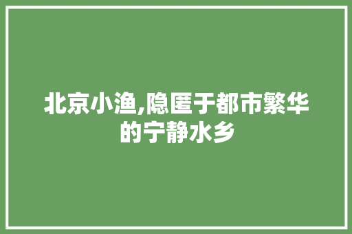 北京小渔,隐匿于都市繁华的宁静水乡