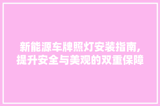 新能源车牌照灯安装指南,提升安全与美观的双重保障