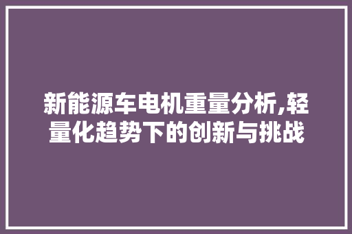 新能源车电机重量分析,轻量化趋势下的创新与挑战