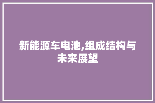 新能源车电池,组成结构与未来展望