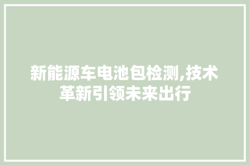 新能源车电池包检测,技术革新引领未来出行