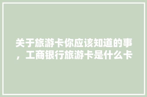 关于旅游卡你应该知道的事，工商银行旅游卡是什么卡。