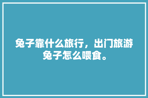 兔子靠什么旅行，出门旅游兔子怎么喂食。