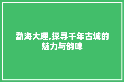 勐海大理,探寻千年古城的魅力与韵味
