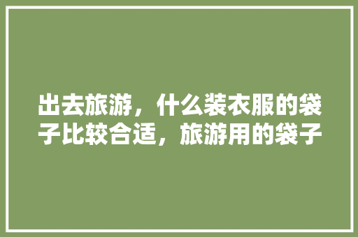 出去旅游，什么装衣服的袋子比较合适，旅游用的袋子。