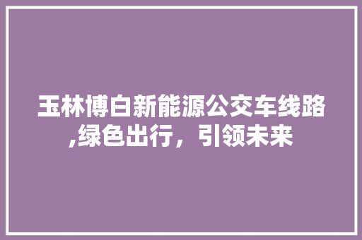 玉林博白新能源公交车线路,绿色出行，引领未来