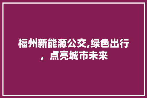 福州新能源公交,绿色出行，点亮城市未来