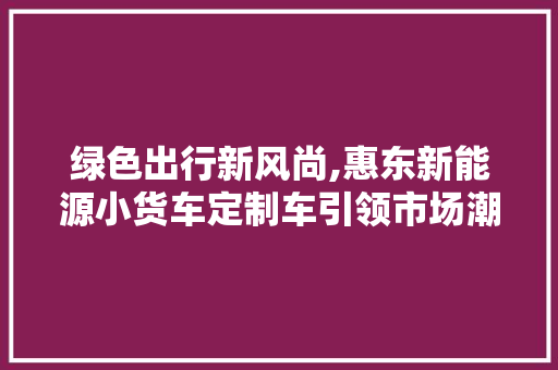 绿色出行新风尚,惠东新能源小货车定制车引领市场潮流
