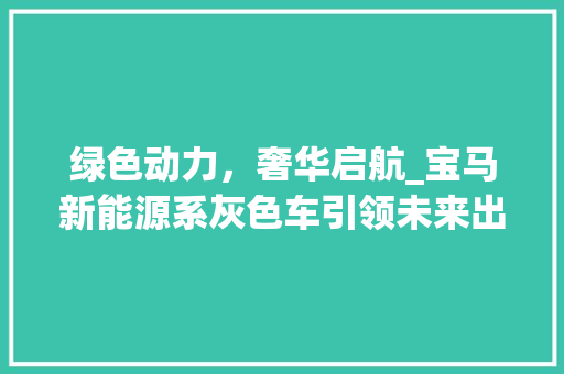 绿色动力，奢华启航_宝马新能源系灰色车引领未来出行风尚