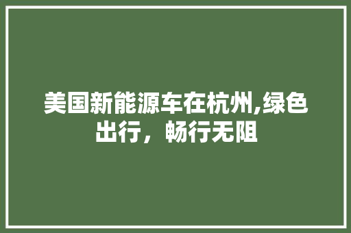 美国新能源车在杭州,绿色出行，畅行无阻