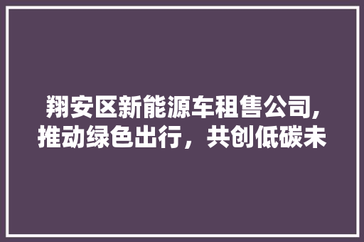 翔安区新能源车租售公司,推动绿色出行，共创低碳未来  第1张
