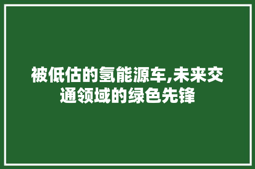 被低估的氢能源车,未来交通领域的绿色先锋