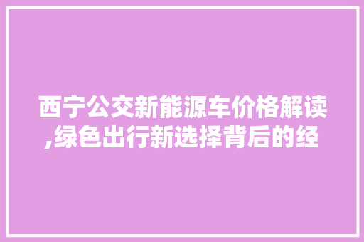 西宁公交新能源车价格解读,绿色出行新选择背后的经济考量  第1张