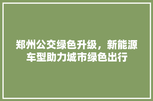 郑州公交绿色升级，新能源车型助力城市绿色出行