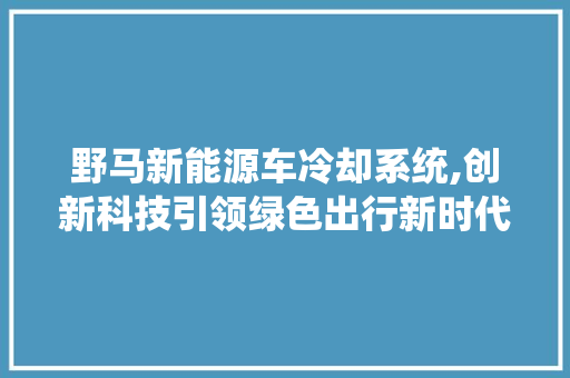 野马新能源车冷却系统,创新科技引领绿色出行新时代