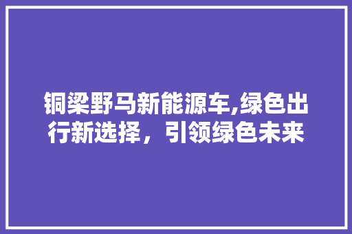 铜梁野马新能源车,绿色出行新选择，引领绿色未来