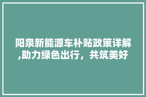 阳泉新能源车补贴政策详解,助力绿色出行，共筑美好未来