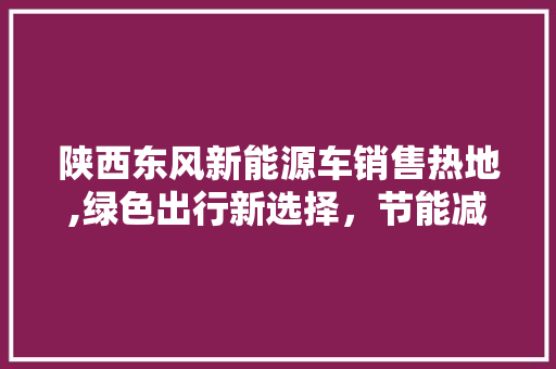 陕西东风新能源车销售热地,绿色出行新选择，节能减排新篇章  第1张