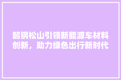 韶钢松山引领新能源车材料创新，助力绿色出行新时代