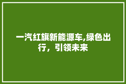 一汽红旗新能源车,绿色出行，引领未来