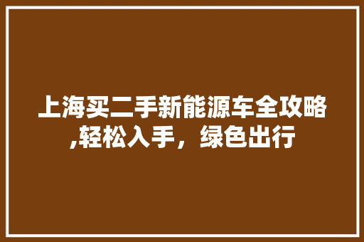 上海买二手新能源车全攻略,轻松入手，绿色出行