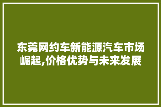 东莞网约车新能源汽车市场崛起,价格优势与未来发展展望