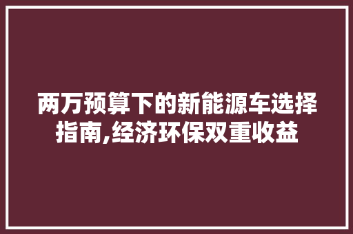 两万预算下的新能源车选择指南,经济环保双重收益