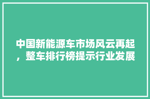 中国新能源车市场风云再起，整车排行榜提示行业发展新趋势  第1张