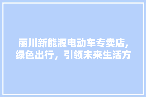 丽川新能源电动车专卖店,绿色出行，引领未来生活方式