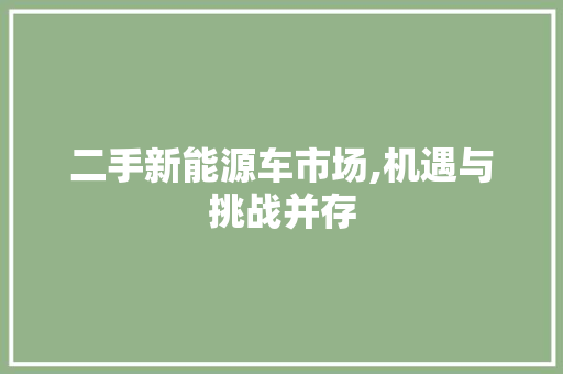 二手新能源车市场,机遇与挑战并存