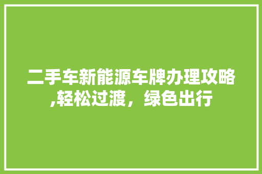 二手车新能源车牌办理攻略,轻松过渡，绿色出行